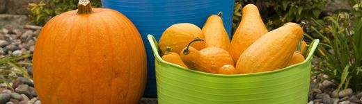 Capaços o cubells de plàstic per a alimentació