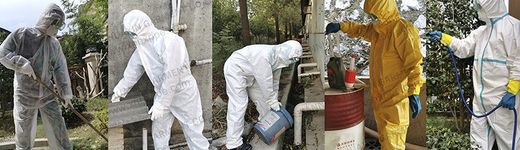 Buzos desechables, ¿Cuál elegir?