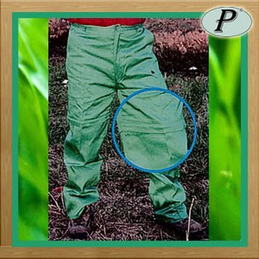 Pantalon vert avec jambes amovibles