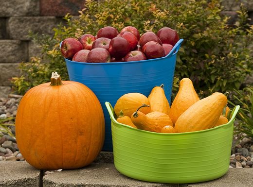 Capazos homologados para uso alimentario