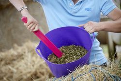 Petit panier à usage alimentaire -14 litres-