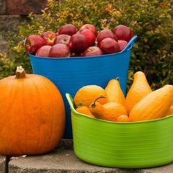 Cestas multicoloridas de 40 litros para alimentos