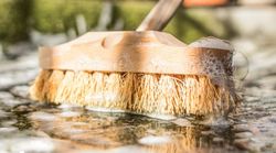 Cepillos de fibra vegetal Zacatón