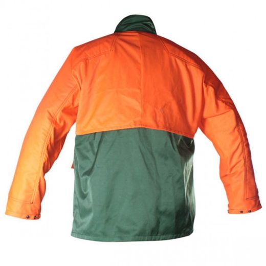 Ensemble de vêtements de forêt