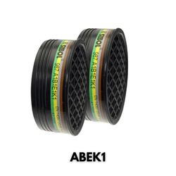 Filtre 987 A1B1E1K1 - 1 unité