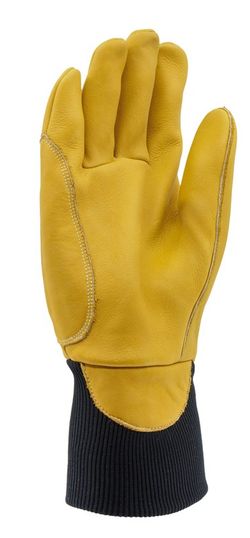 Guantes de piel para motosierras - PROWOOD 2