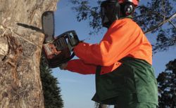 Guantes de piel para motosierras - PROWOOD 2