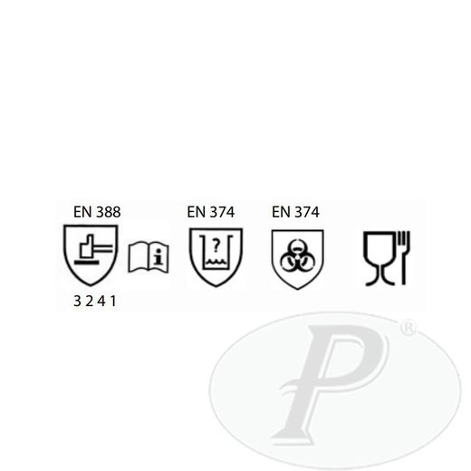 Gants en latex avec support - CORAIL 30