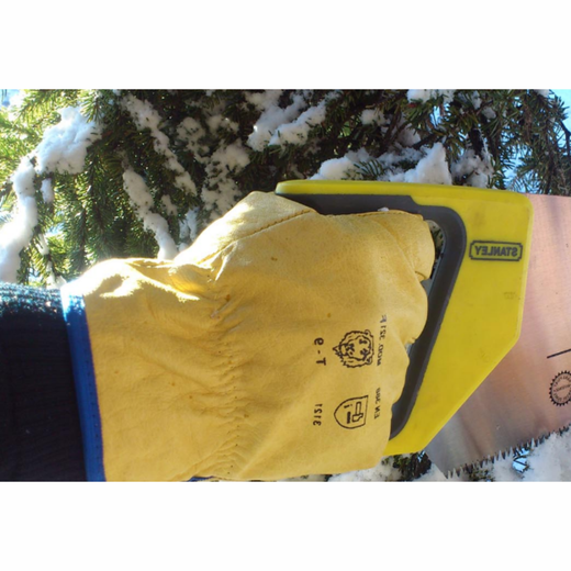 Guants tot pell flor folrats pel fred