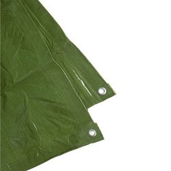 Lonas verdes de primeras materias 100 gr