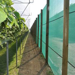 Malla red antiviento cortaviento - 40%