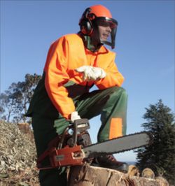 Ensemble de vêtements de forêt