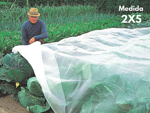 Xarxa anti-insectes per plantacions i arbres