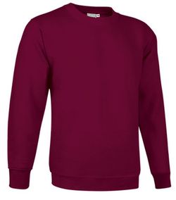 Sudaderas básicas de trabajo varios colores - DUBLIN
