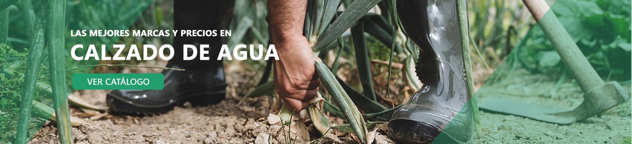 calzado de agua